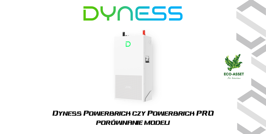 Magazyn energii Dyness PowerBrick vs PowerBrick Pro – który wybrać do domu?